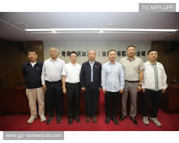 新濠锋娱乐：国际化运营背景下的文化融合与品牌扩展路径探索